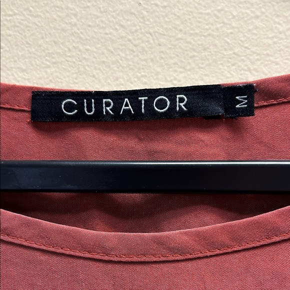 Curator Rust Dress - Picture 2 of 5